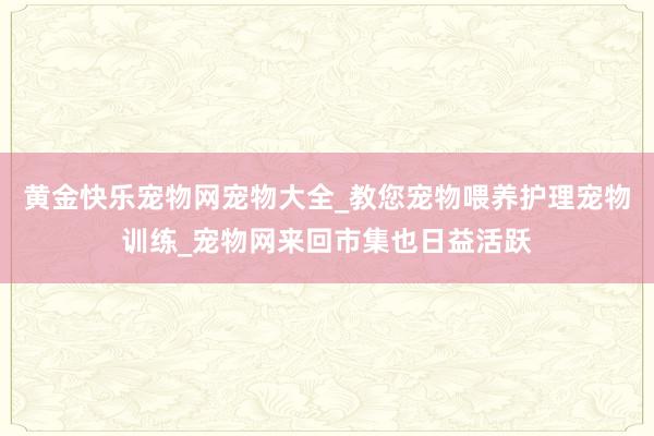 黄金快乐宠物网宠物大全_教您宠物喂养护理宠物训练_宠物网来回市集也日益活跃