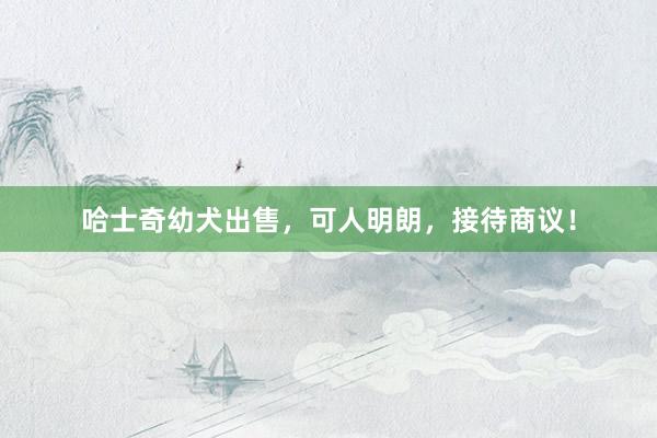 哈士奇幼犬出售，可人明朗，接待商议！